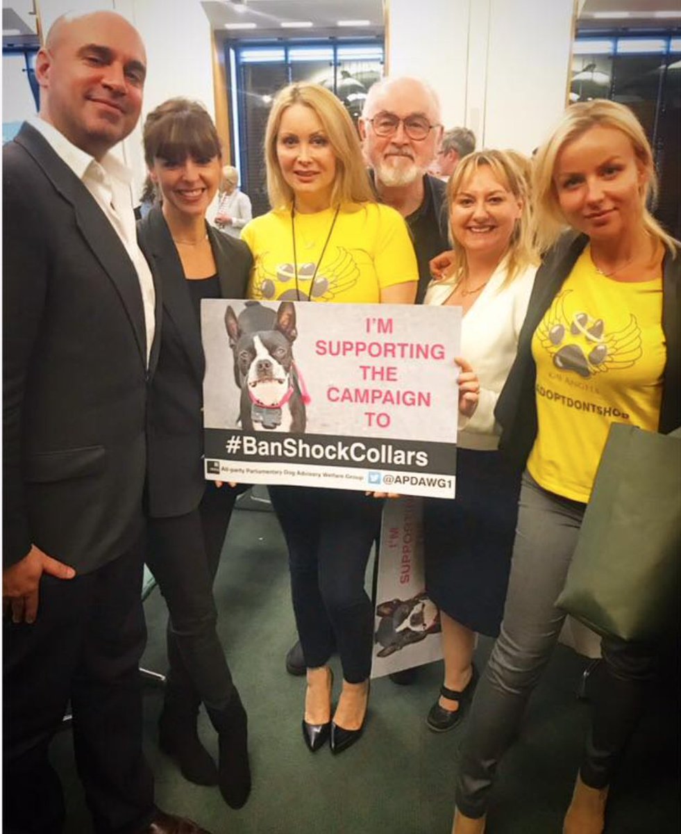very informative and inclusive meeting at The UK Parliament on #bsl today. Well done everyone @marcthevet @VictoriaS @PeterEgan6 - educate, don’t discriminate! It's time to say loud and clear: BSL is ineffective, expensive and cruel #endbsl #dogbiteprevention #banshockcollars