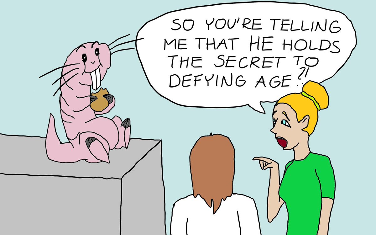 Freshly Painted Science tweet media