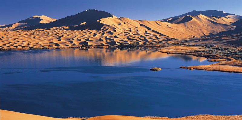 China Daily tweet media