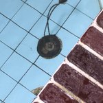 ツイートに含まれる画像