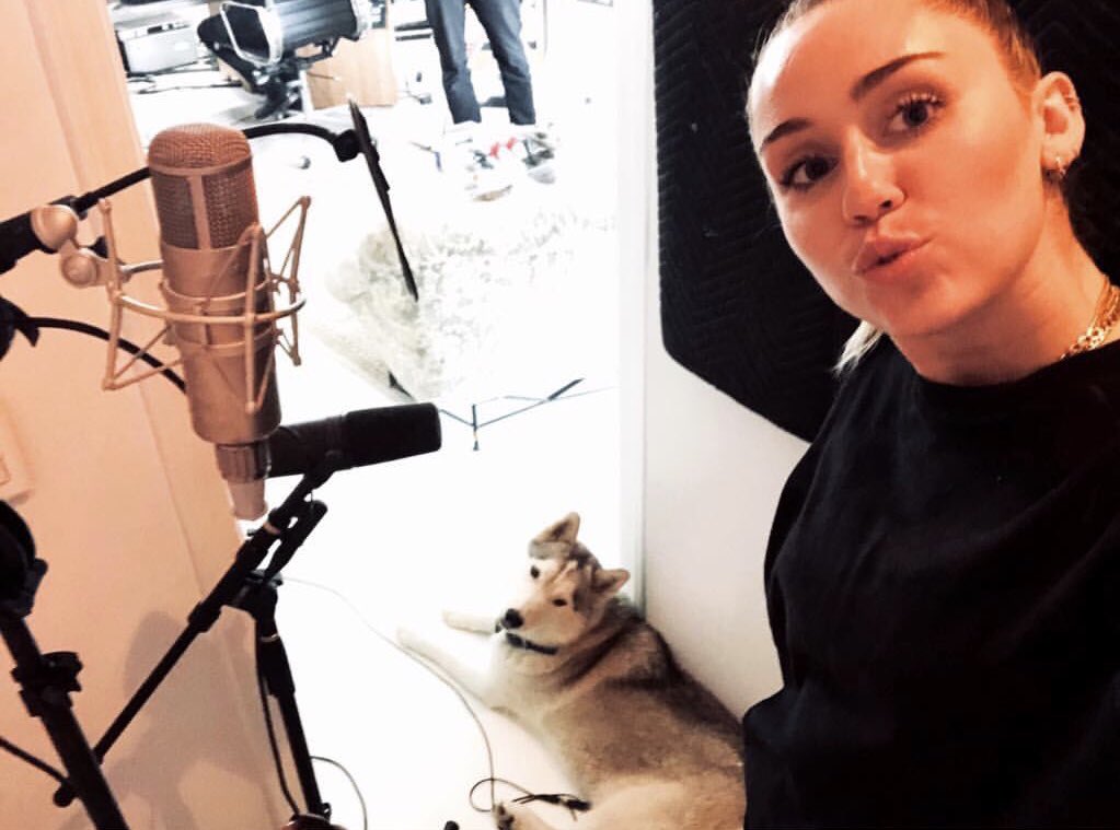 MileyCyrus's tweet photo. https://t.co/fG2oeeBDLB