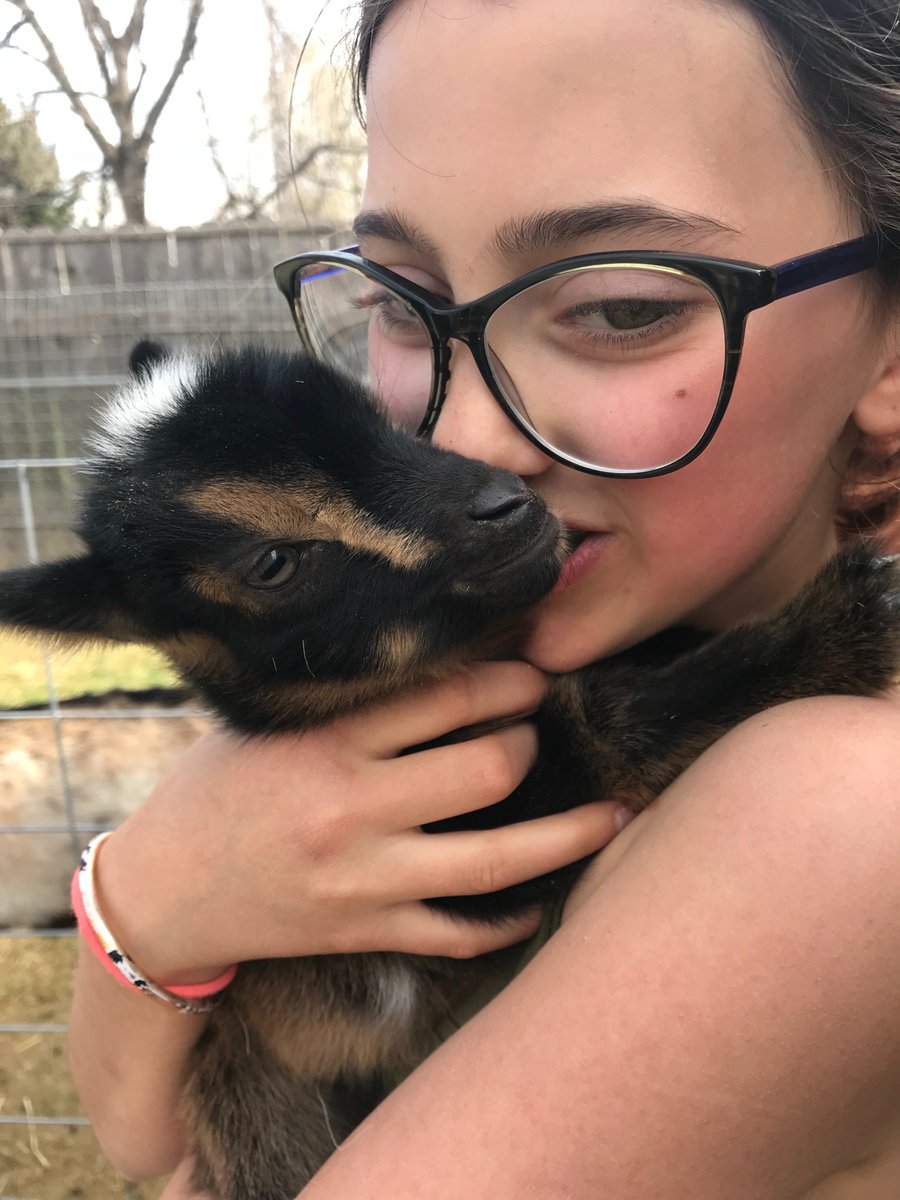 sasha steensen tweet media