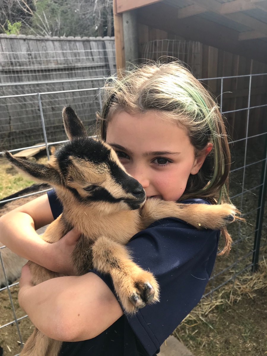 sasha steensen tweet media