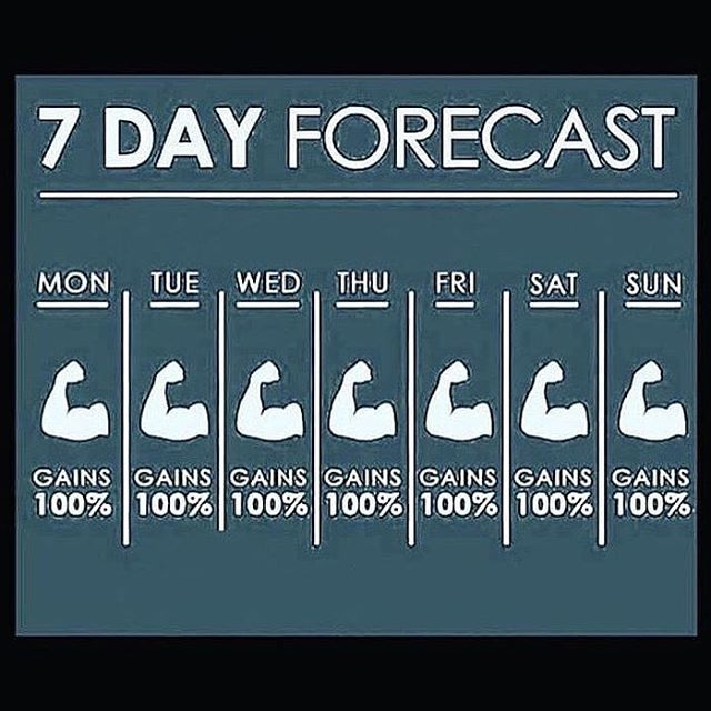 MassHunters's tweet photo. Word! 💪
#MassHunters #GymBanter #LOL #Motivation #FitFam #FitFamUK #London #Gym #GymLife #NoExcuses #TrainHard #Instafit #Gains #Muscle #BodyBuilding #WeightLoss #FatLoss #Fitness #Training #Instagram https://t.co/IPWBF6x32B https://t.co/mvBJE9meL5