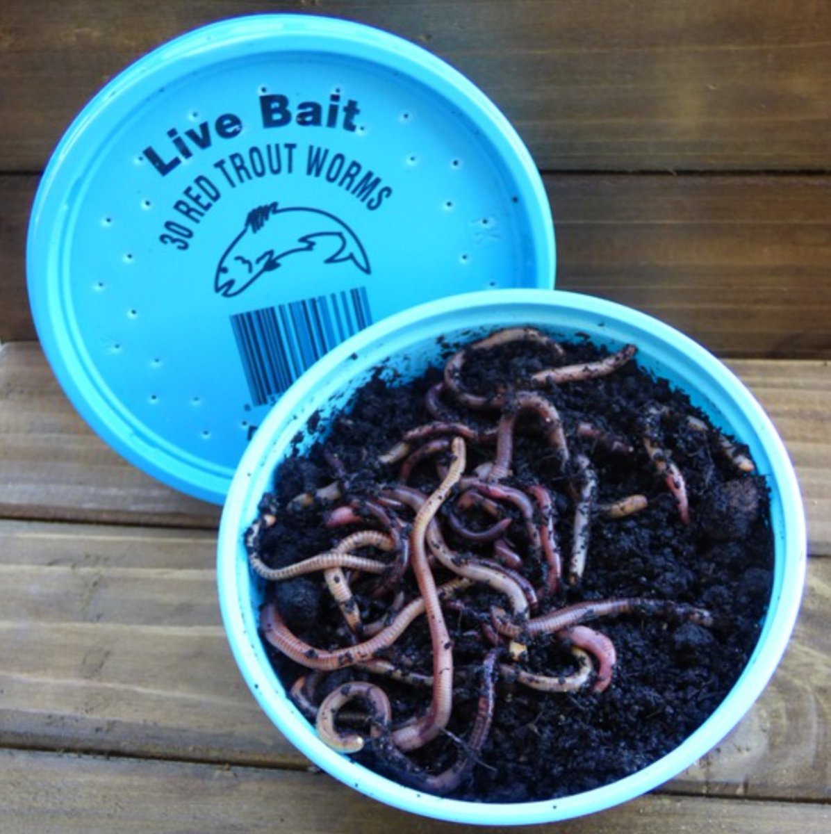 elirymagee's tweet image. Anybody else ever just wanna go fishing as an excuse to play with these?