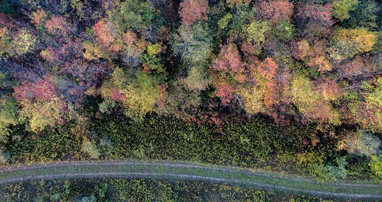 Our new #geospatial project will provide #accuraterecords for a major #forestry client. Read about it here: bit.ly/2JpfEB1 #LiDAR #digitalterrainmodel #dtm