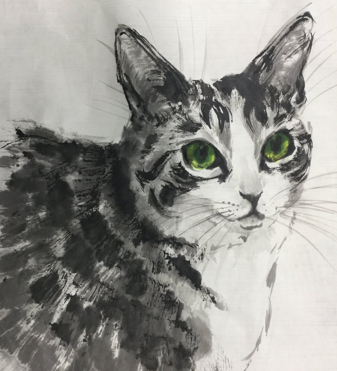 今日の犬猫水墨画教室。 お顔のメイキング。 眼球はしっかり濃淡を墨で