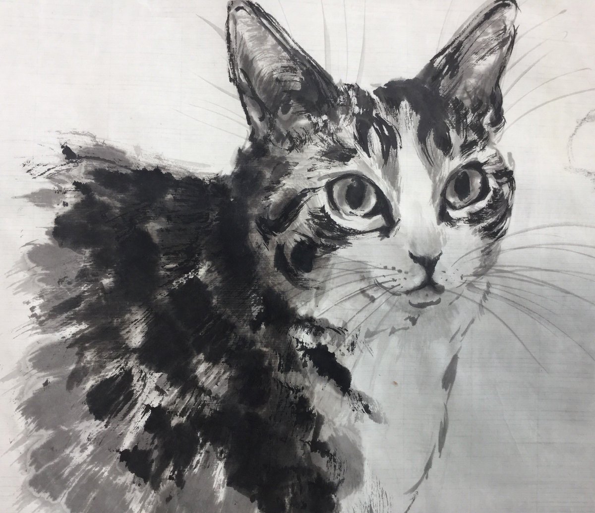 芙弥佳fumika 水墨画あめつち 今日の犬猫水墨画教室 お顔のメイキング 眼球はしっかり濃淡を墨で作ってから色いれです Cat Sumi Portrait Making ねこ 墨 水墨画