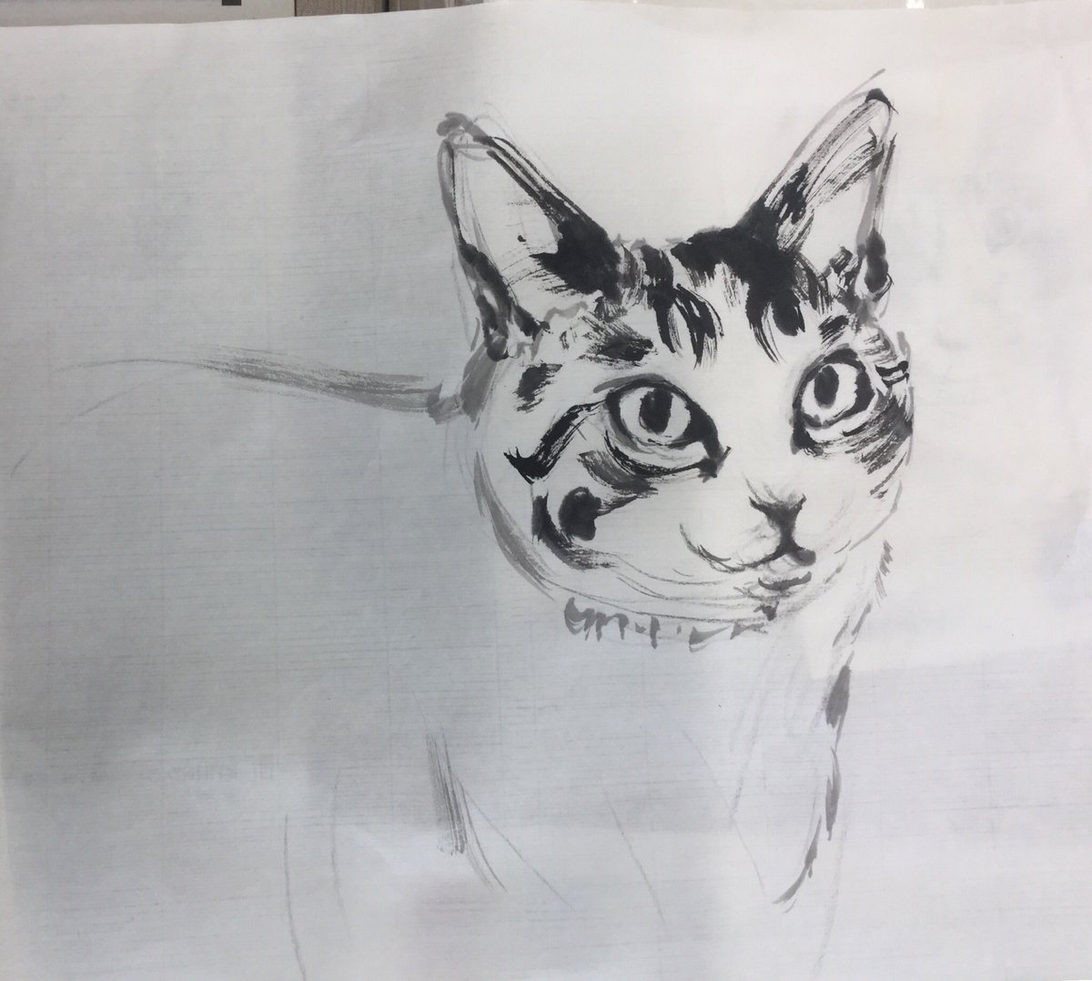 専用　水墨画　猫の絵 Art ametsuchi - Fumika Tanaka - 水墨画、最初は墨だけで濃淡を