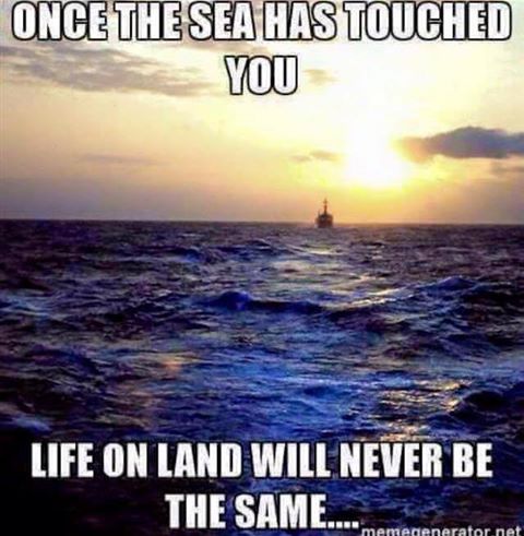 Spac3ag376's tweet image. 