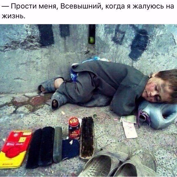 Невероятно, но Факт! tweet media