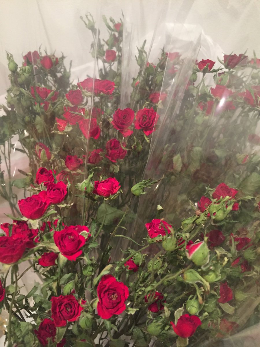 日なたの窓 Twitterissa 今日はドライフラワーの入荷日 綺麗な赤い薔薇と 可愛らしいミモザが手に入りました ハーバリウムやアロマワックスサシェをつくります ハーバリウム ドライフラワー アロマワックスサシェ