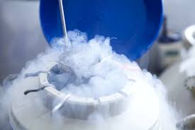 IndoNipponIVF's tweet photo. Egg Freezing Blog #3 ~ The magic of the Egg freezing science!! https://t.co/DG7Dr0CHQi ……/
#eggfreezing #ivf #infertility #fertilitypreservation #indonipponivf #hope #faith #vitrification #cryotech https://t.co/U2NewAnNmB