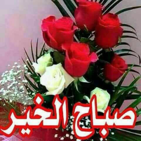 Ala_2018 tweet picture