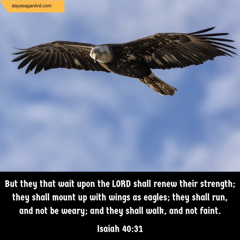 #Scripture #Bible #Verses #KJV #Christians #pastors #baptist