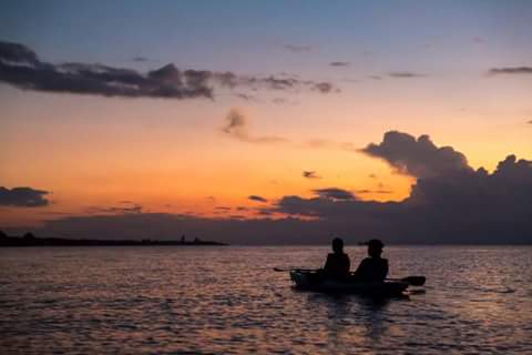 CzmHotels's tweet photo. Travelers are dreamers who make their desires for adventure come true!
@exploreanczm
It's time to #ExploreMoreCozumel 🌴 #ExploreanExperience
#ExploreMore https://t.co/zgFkU4WjHl