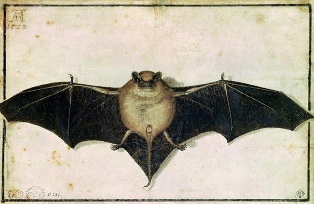 DamienKempf's tweet photo. Back to basics - Bat 
[Dürer, 1522] https://t.co/Ssv4i5N1Si