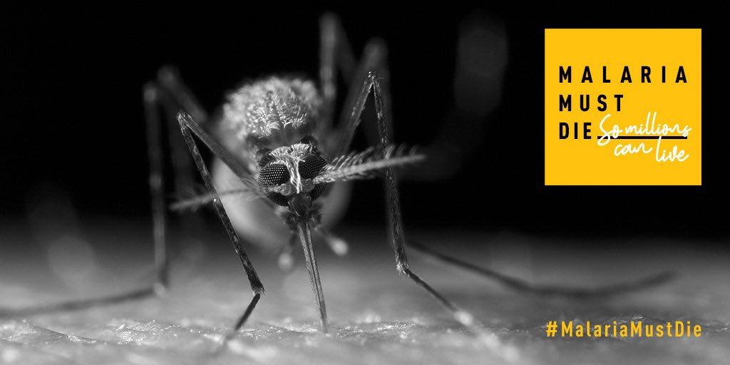 UNYouthAffairs's tweet photo. ⚠DANGER: overall increase in cases of malaria for the first time in more than a decade!
 
We are #ReadyToBeatMalaria, #MalariaMustDie. Join me at the Malaria Summit 🇬🇧 from 11:00am BST / 6:00am EST 📺https://t.co/ye2HiBgcUV #CHOGM2018 https://t.co/SABW28I7Ts