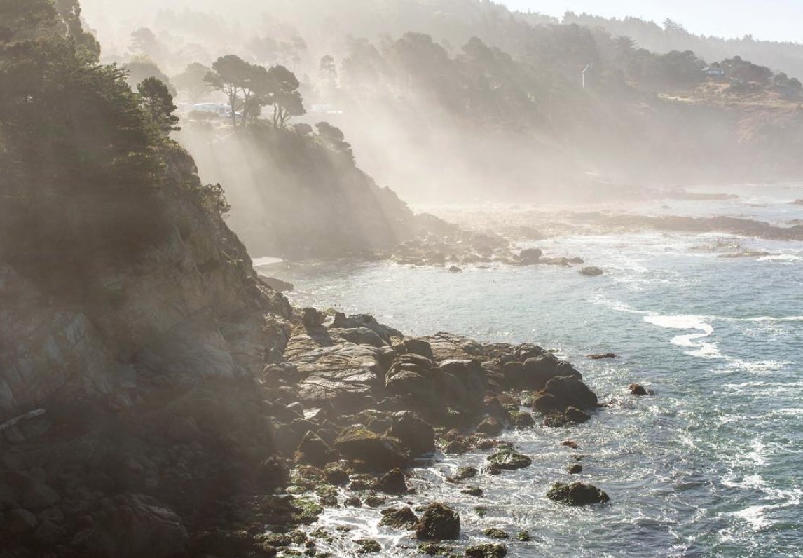 When the sun peeks through the coastal mist. One of the many uniquely beautiful sights to be seen in Jenner, California. #JennerByTheSea
📷timbercoveresort