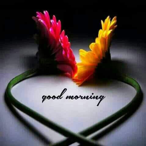 SharanyaTuradi's tweet photo. Good Morning All ❤
#MorningRush #morningall
#GoodMorningWorld https://t.co/oUMzssCiQ1