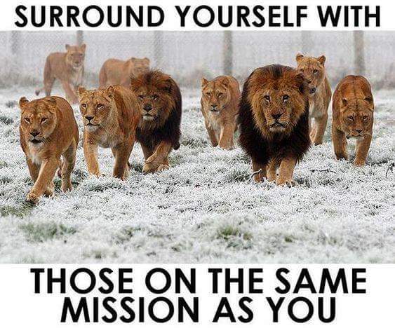 dgoree's tweet photo. It's easier to hunt when everyone is going after the same prey... the hunt is easier when everyone accepts their role, the hunt is easier when everyone is willing to sacrifice, the hunt is easier when we communicate well and strategize... #LETSHUNTTOGETHER 🐻⚾️🏐❤🖤🤔😁😎😉👀 https://t.co/2ZBJKdHWMP
