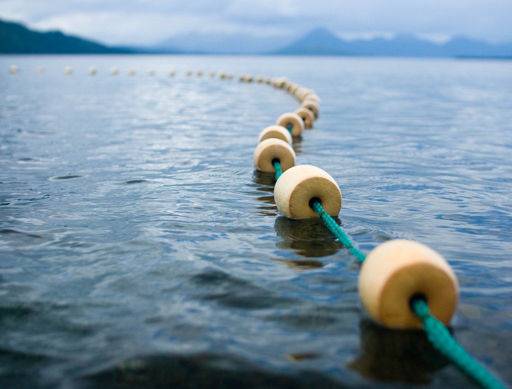 salmon_net's tweet photo. Conversations have started over on #SalmonNet #ScienceSpotlights. Do you have thoughts, or related articles/commentaries/reports that could be useful to others? Leave us a note in the "Comment" section to share your knowledge and experience!
https://t.co/9cyUyAO4tV https://t.co/HCZyfSm3x6