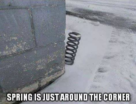 BO49's tweet image. Said anyone in Arizona, ever.
 #spring  #winter  #snow  #globalwarming  #funny  #lolView On...