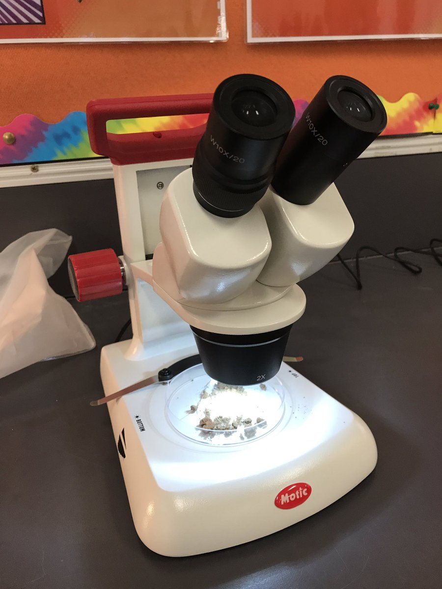 When teachers can act as scientists too 👌🏻 #ACUedu_p