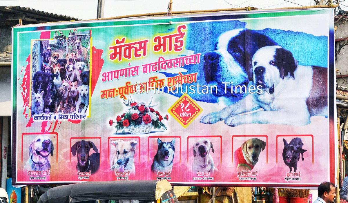 Tired of politicians and their cronies putting up birthday and sundry hoardings everywhere, residents of Kalyan - on the outskirts of Mumbai - put up a birthday hoarding for a pet dog, with wishes from other pet dogs from the area. Photo by @HTMumbai (zoom to see the pet names)