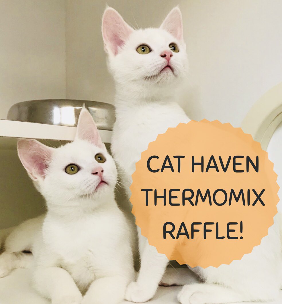 Win a brand new Thermomix and help Cat have raise vital funds. Purchase tickets here - trybooking.com/book/event?eid…