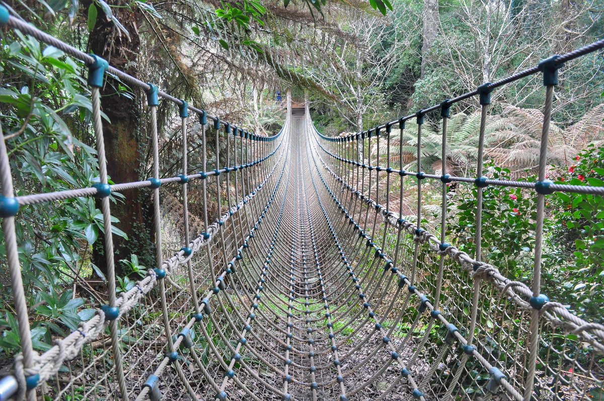 Chris Garner tweet media