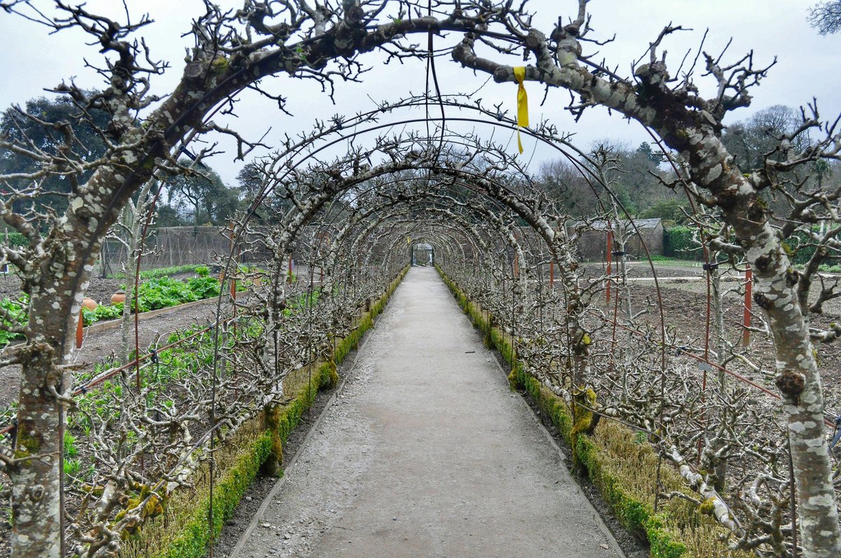 Chris Garner tweet media