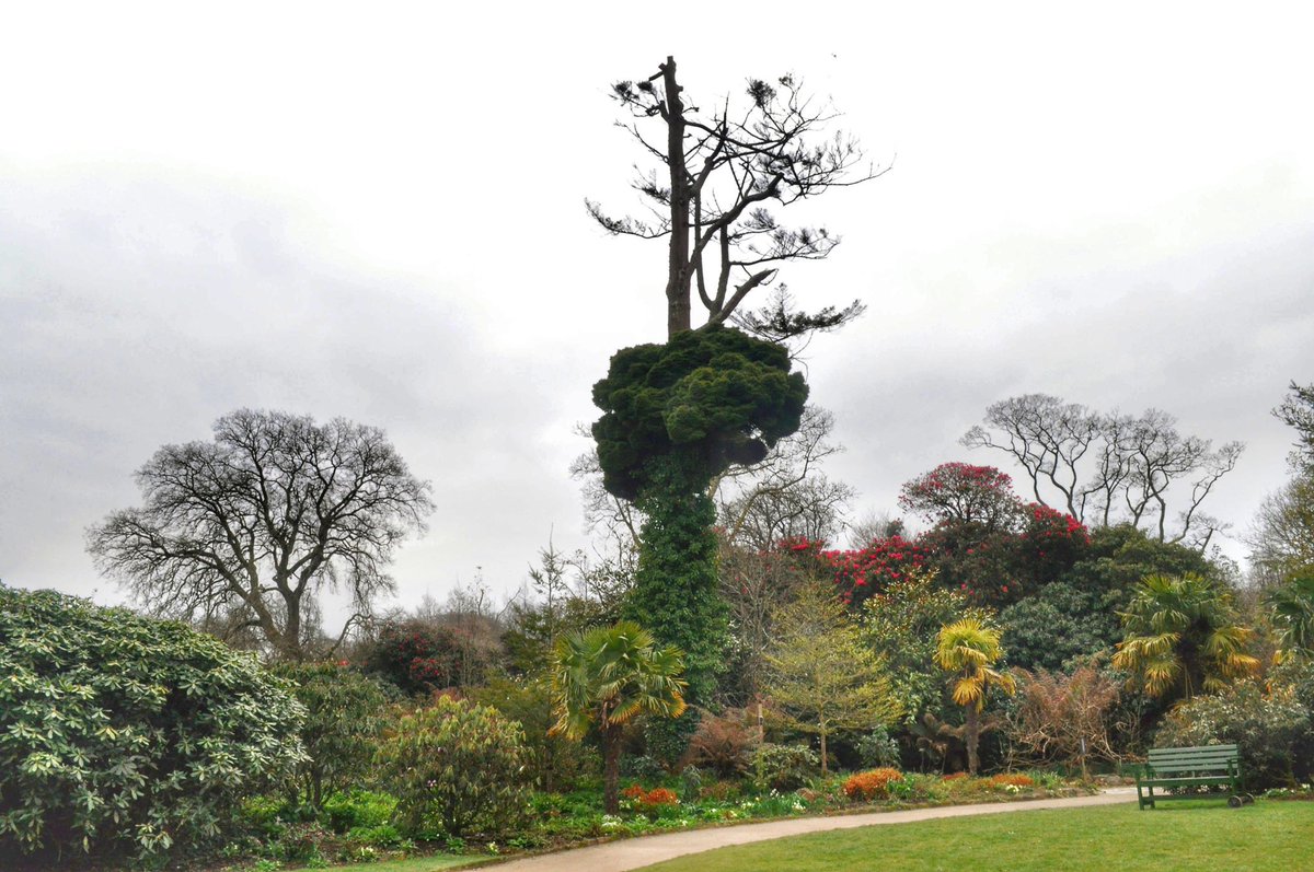 Chris Garner tweet media