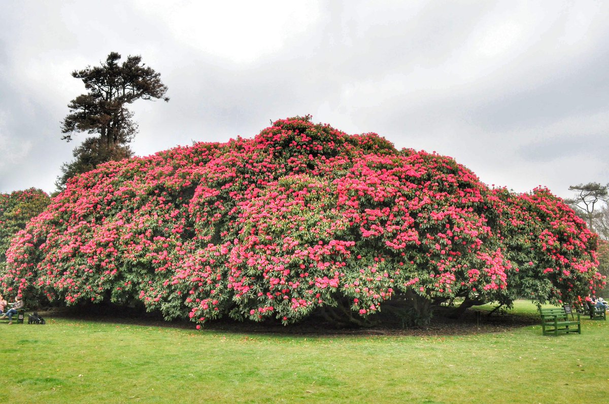 Chris Garner tweet media