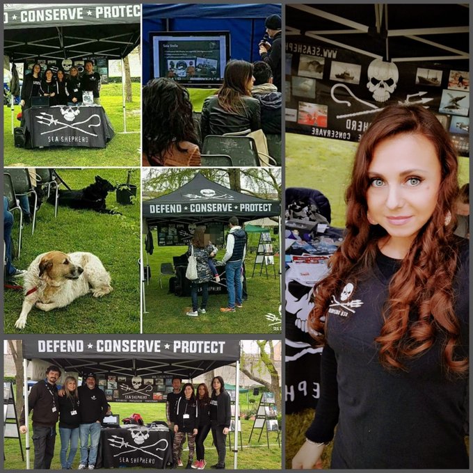 Bellissima giornata con #SeaShepherd @SeaShepherdIta 🐳🐋🐬🐟🐠🐡🦑🦐🦀🐚🐙🦈🌊 Domenica scorsa al #dogfest di #mantova<a href="/tag/seashepherd"class="tags">#SeaShepherd</a><a class="tags" target="_blank" title="On Twitter" href="/?out=eyJ0eXAiOiJKV1QiLCJhbGciOiJIUzUxMiJ9.eyJpYXQiOjE3MjA4MjU2MjgsImlzcyI6InR3cG9ybnN0YXJzLmNvbSIsIm5iZiI6MTcyMDgyNTYyOCwiZXhwIjoxNzUyMzYxNjI4LCJyZWRpcmVjdF91cmwiOiJodHRwczovL3R3aXR0ZXIuY29tL1NlYVNoZXBoZXJkSXRhIn0.GT9WkIrOciBA9_BSpm5LxUe5ojPE8K8cYE5UeWkOZctLZVDq9Fyj3HpiqBYjFmL27wiEtPtdQvqPfssWMfvLWw">@SeaShepherdIta</a><a href="/tag/animallover"class="tags"><span>#animallover</span></a><a href="/tag/veganbeauty"class="tags"><span>#veganbeauty</span></a><a href="/tag/happygirl"class="tags"><span>#happygirl</span></a><a href="/tag/greeneyes"class="tags"><span>#greeneyes</span></a>