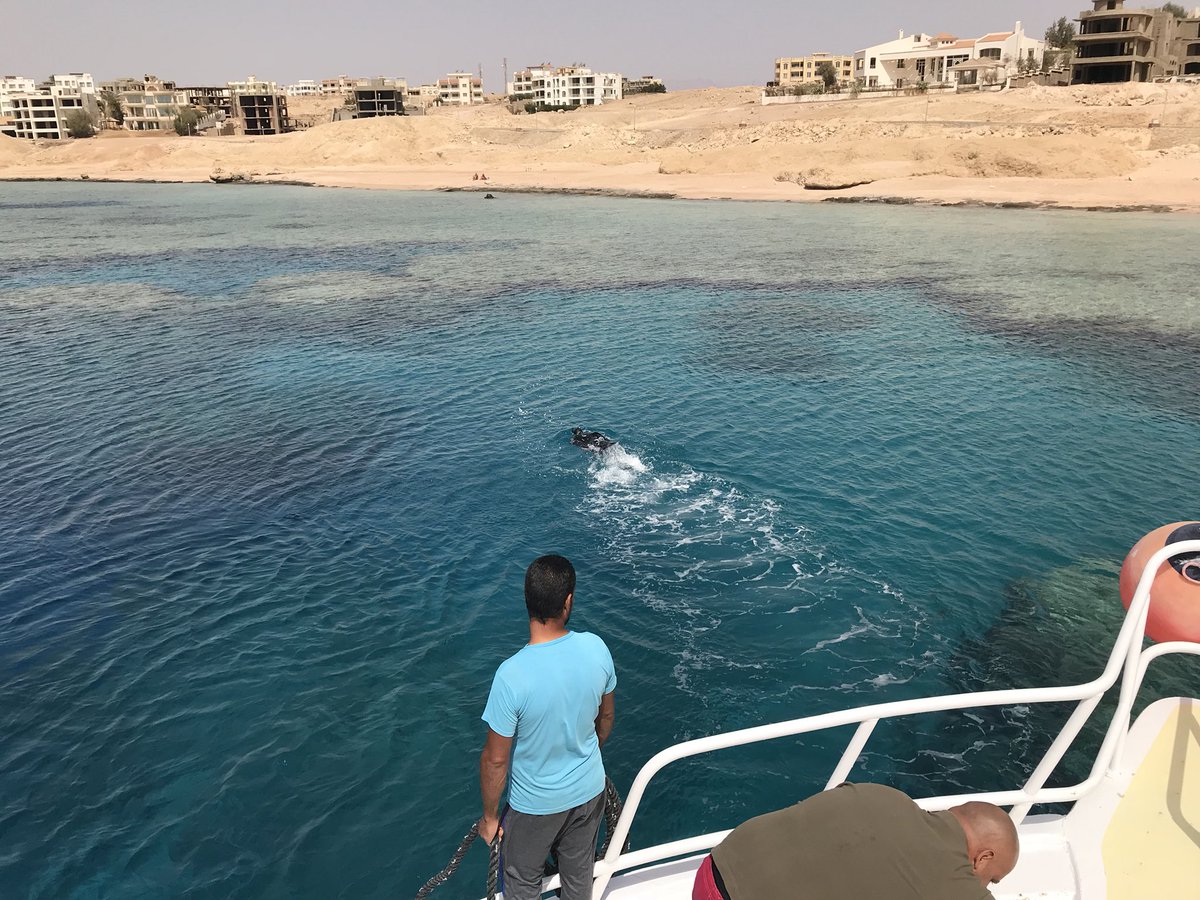 RejseTanker's tweet photo. An amazing snorkeling / diving day in the reef in Sharm el Sheikh 👌👌
#sharmelsheikh #egypt #diving #snorkelig #boattrip #vacation https://t.co/DJmayofAGj