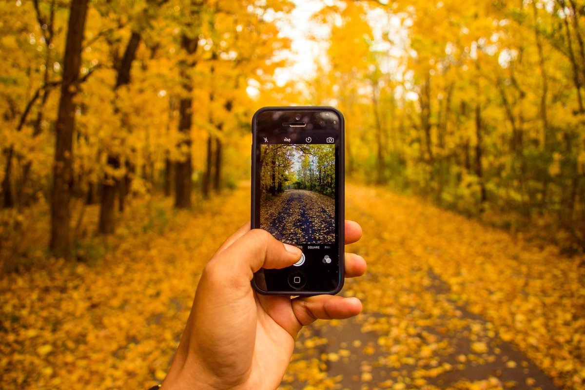 lifefriendlybiz's tweet photo. Could adding more nature to your working day improve your wellbeing? Read more in this guest post by @suethomas https://t.co/TQCsW6UOup https://t.co/6MWECDlAnL
