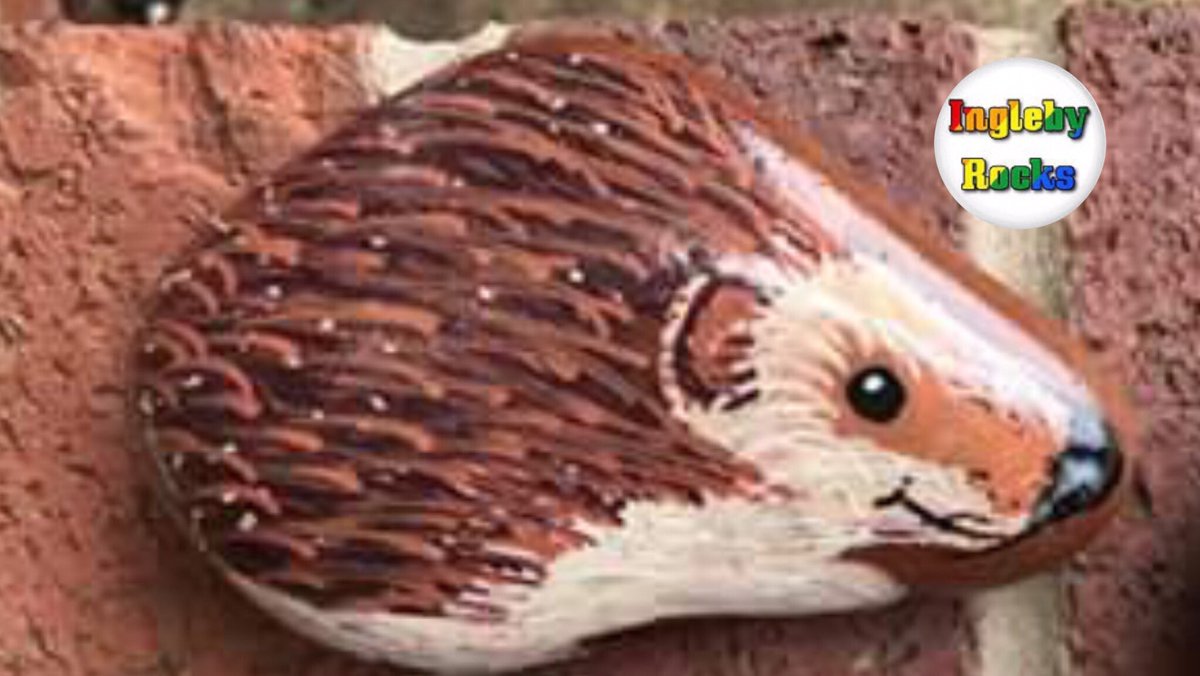 InglebyRocks's tweet photo. My Hedgehog Rock hidden today along with some others 🙂 https://t.co/a780cpjJFY
