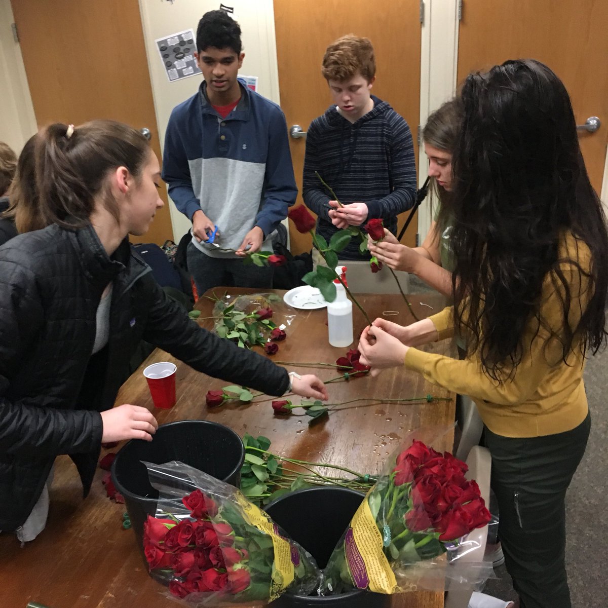 Coffman__NHS's tweet photo. Sorting roses for delivery this morning 🌹 #MiracleForMadison https://t.co/FhKh7i8aps