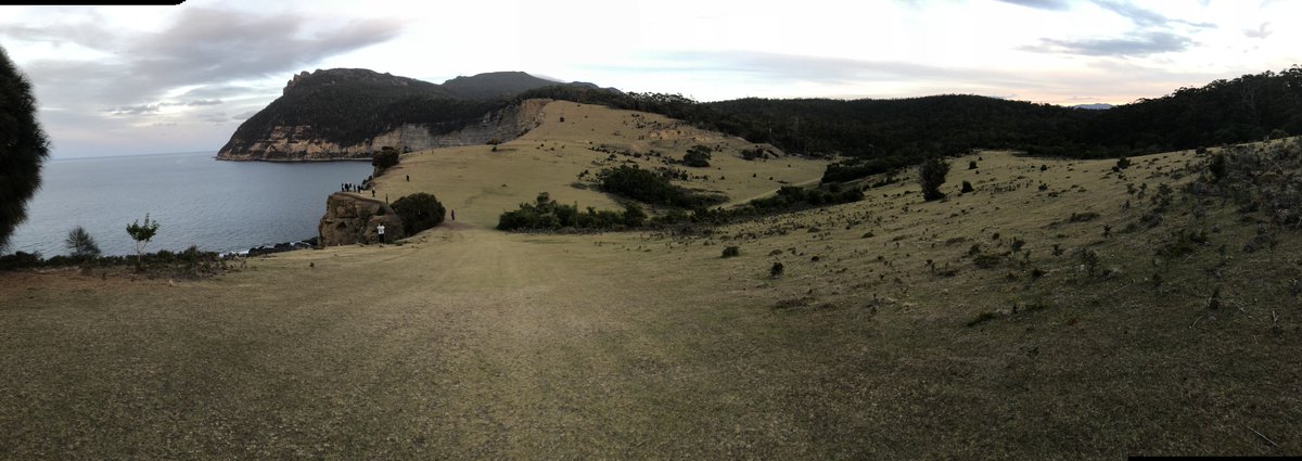 simreev's tweet photo. Maria Island is putting it on for the students doing #xas101 @AbigailJRSmith @ScottDLing @IMASUTAS #doitforthedata https://t.co/gsfoqpd0dt