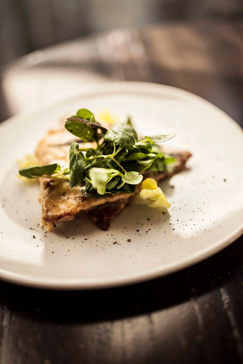 RomaLondon's tweet photo. Our old friend sunshine seems to have emerged from its cave! What better way to celebrate than with some traditional Italian cuisine and beautiful selection of drinks at Roma this afternoon! #heatwave #London #City #roma #wednesdaywisdom https://t.co/UzysSbrSX7