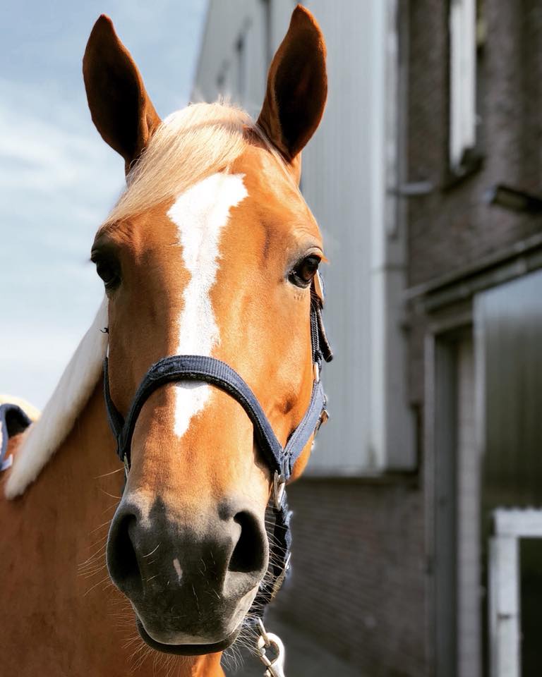 Jessica Mendoza tweet media