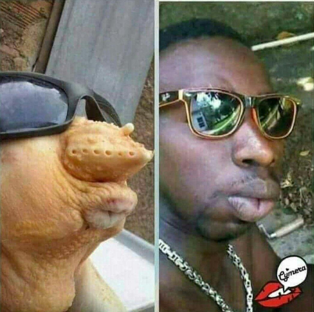 AororaAntonella's tweet photo. ππππ who ever did this the hell is waiting....
#NMGFY2017
#MsetoTamu
#WabaOnK24
John Mbadi
#20for10 https://t.co/iw3WP5836O