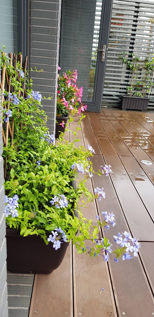simpleplushotel's tweet photo. Simple+ Hotel  
#空中花園 #頂樓花園 #頂樓涼亭
#SkyGarden #RoofGarden #TopFloorGarden #Penthouse #TopFloorGazebo
.
.
.
#Taiwan #Taipei
#台灣 #台北
#SimplePlusHotel
#SimpleHotel
#Simple
#台北馥華商旅敦北館
#台北馥華集團
#台北馥華 https://t.co/HJRNneZa8x