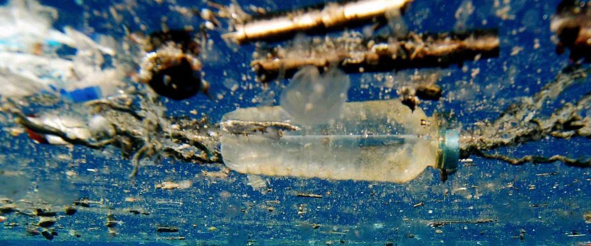 dutchcowboys's tweet photo. Wetenschappers vinden per ongeluk enzym dat plastic opeet https://t.co/BuXlvzmwqc https://t.co/f3Ja1lSqaD