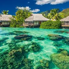 Maldives offer you can't miss!!!