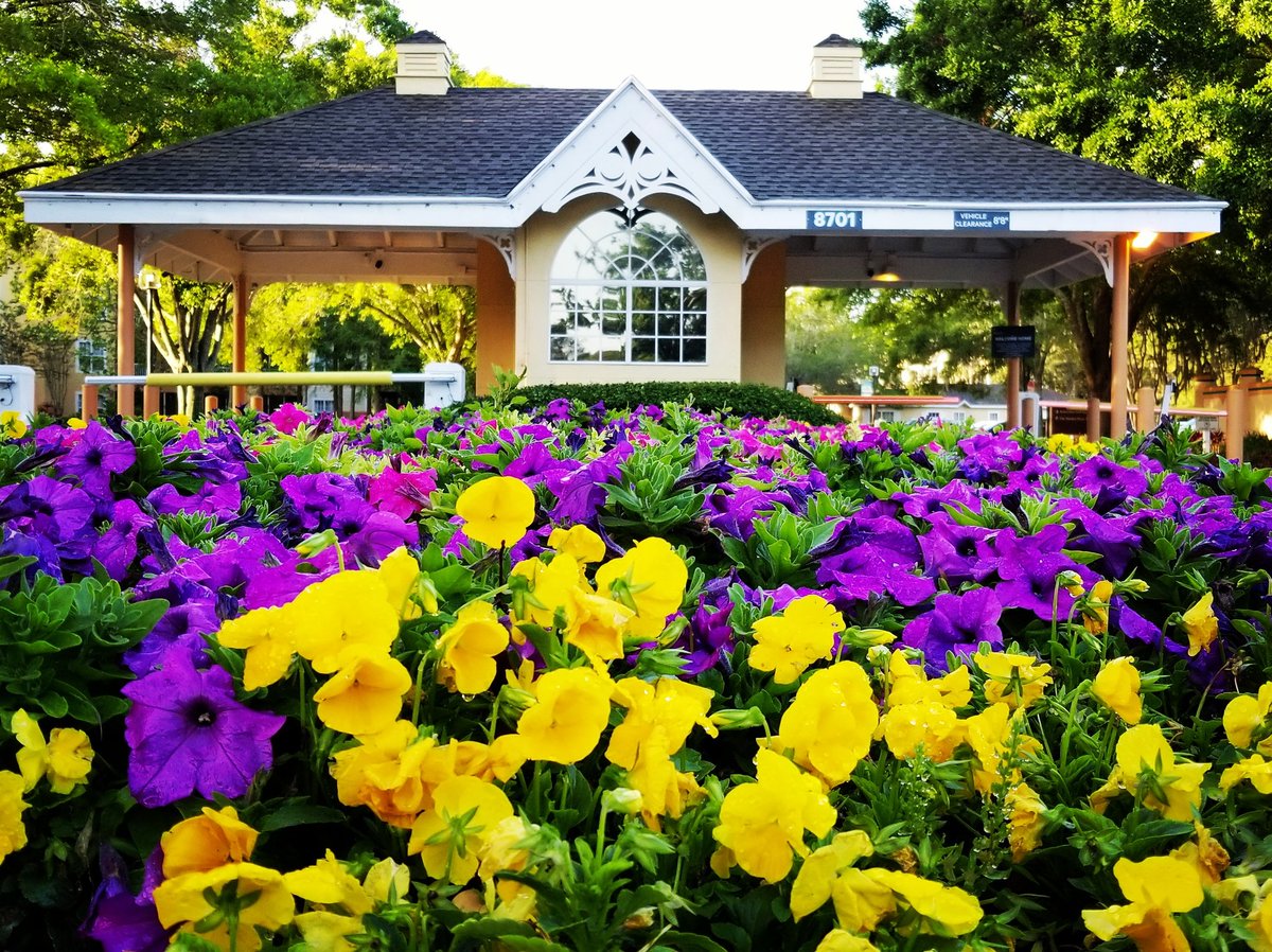 1776Travel's tweet photo. It's still freezing here in CT, but this pic from Orlando last week gives me hope. #whereisspring #flowers #TravelBlog #familytravel #travelwithkids #orlando https://t.co/b3SniXZLwR