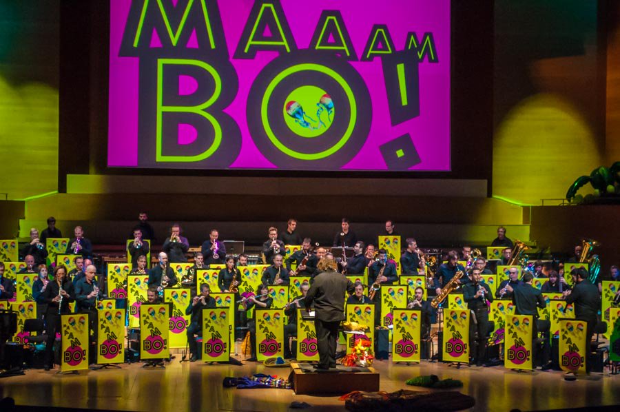 cristicasino's tweet photo. ¡Increíble viaje musical por los diferentes países y ritmos de la América Latina! Podéis disfrutar de MAAAMBO! en @lauditori, dirigidos por @_LaCubana. Recomendado a partir de 3º de primaria. #maaambo #música #primaria https://t.co/qcP1yxSnua