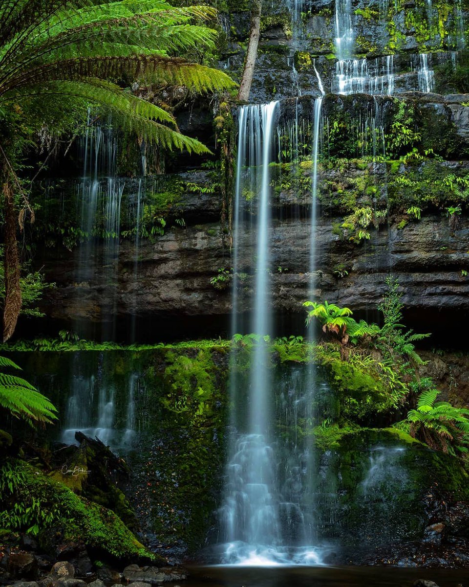tasmania's tweet photo. You can almost feel the cool peacefulness of Russell Falls 🍃 💦 (Pic: https://t.co/gbRLrVtClD) #discovertasmania #tasmaniaparks #seeaustralia #hobartandbeyond https://t.co/7qaQ3DVIPo