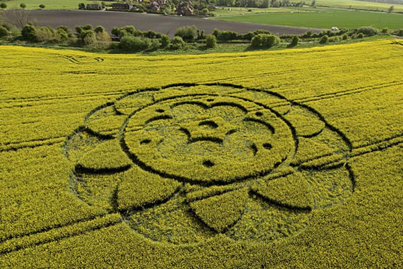 DNPACQUY's tweet photo. CROP CIRCLES VÒNG TRÒN BÍ ẨN – TUYỆT TÁC CỦA NGƯỜI NGOÀI HÀNH TINH https://t.co/Y5rOsv7V6O